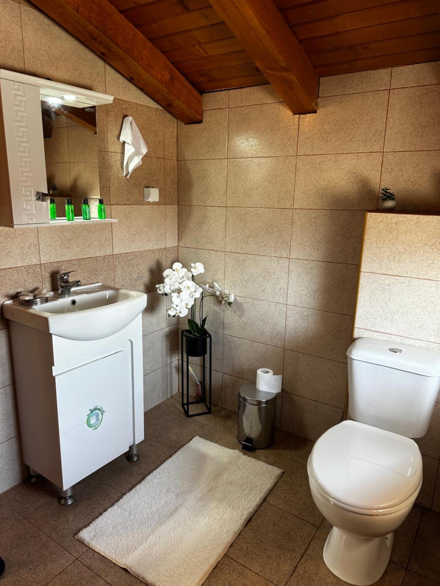 Snow House Hotel Bansko Eksteriør billede